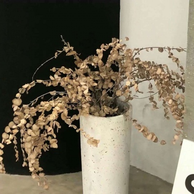 Furry绘画质感灵感福瑞交流群